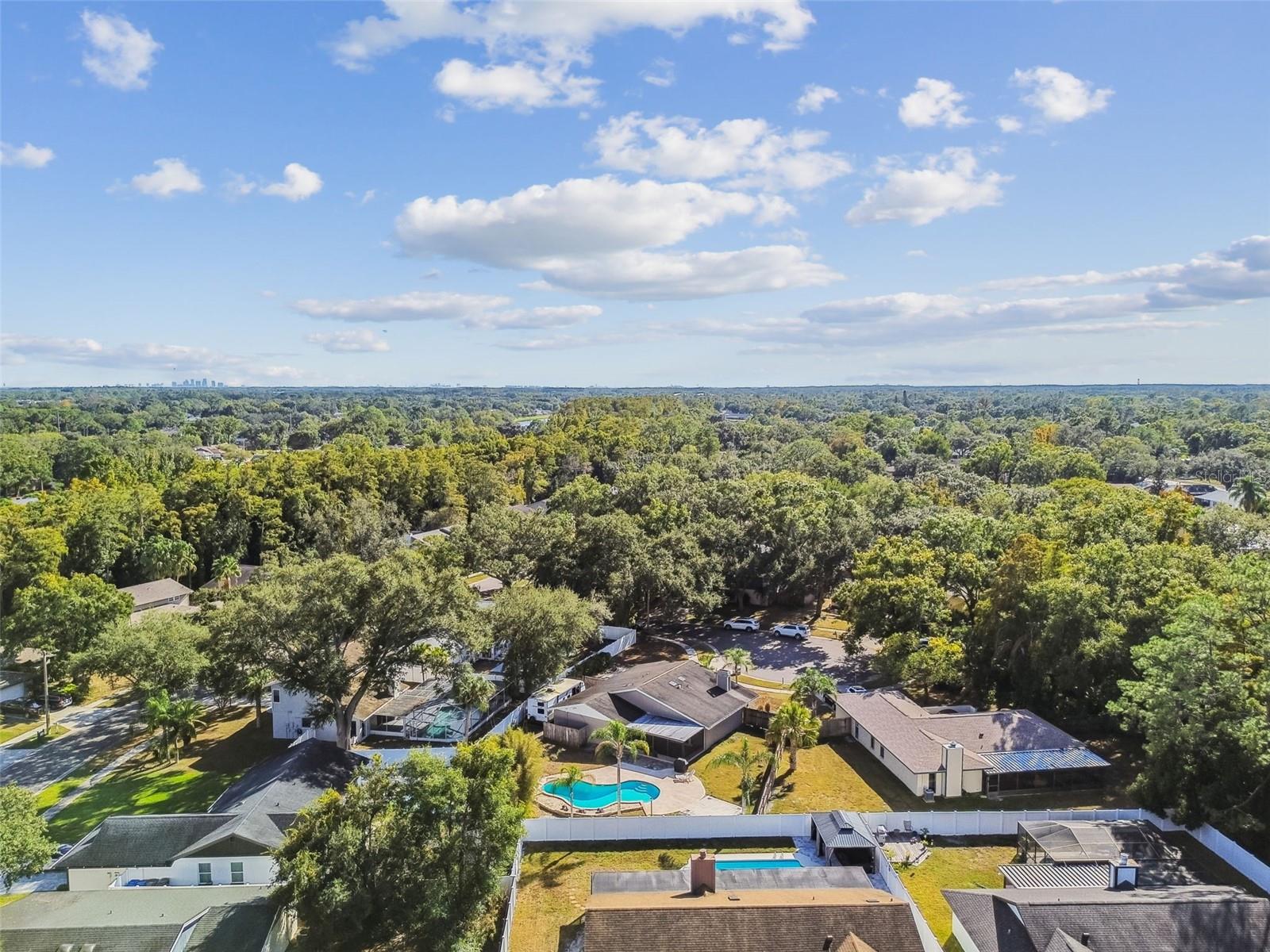 4603 GOLDBUD LN, TAMPA, FL, 33624