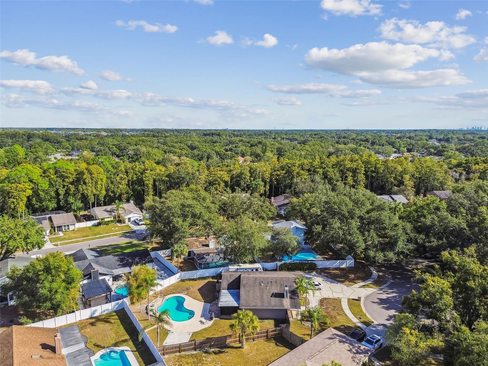 4603 GOLDBUD LN, TAMPA, FL, 33624