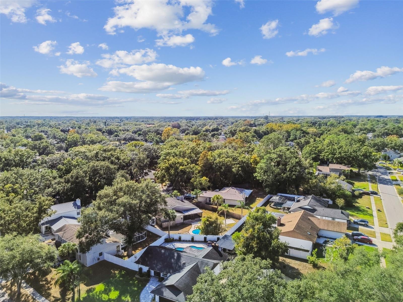 4603 GOLDBUD LN, TAMPA, FL, 33624