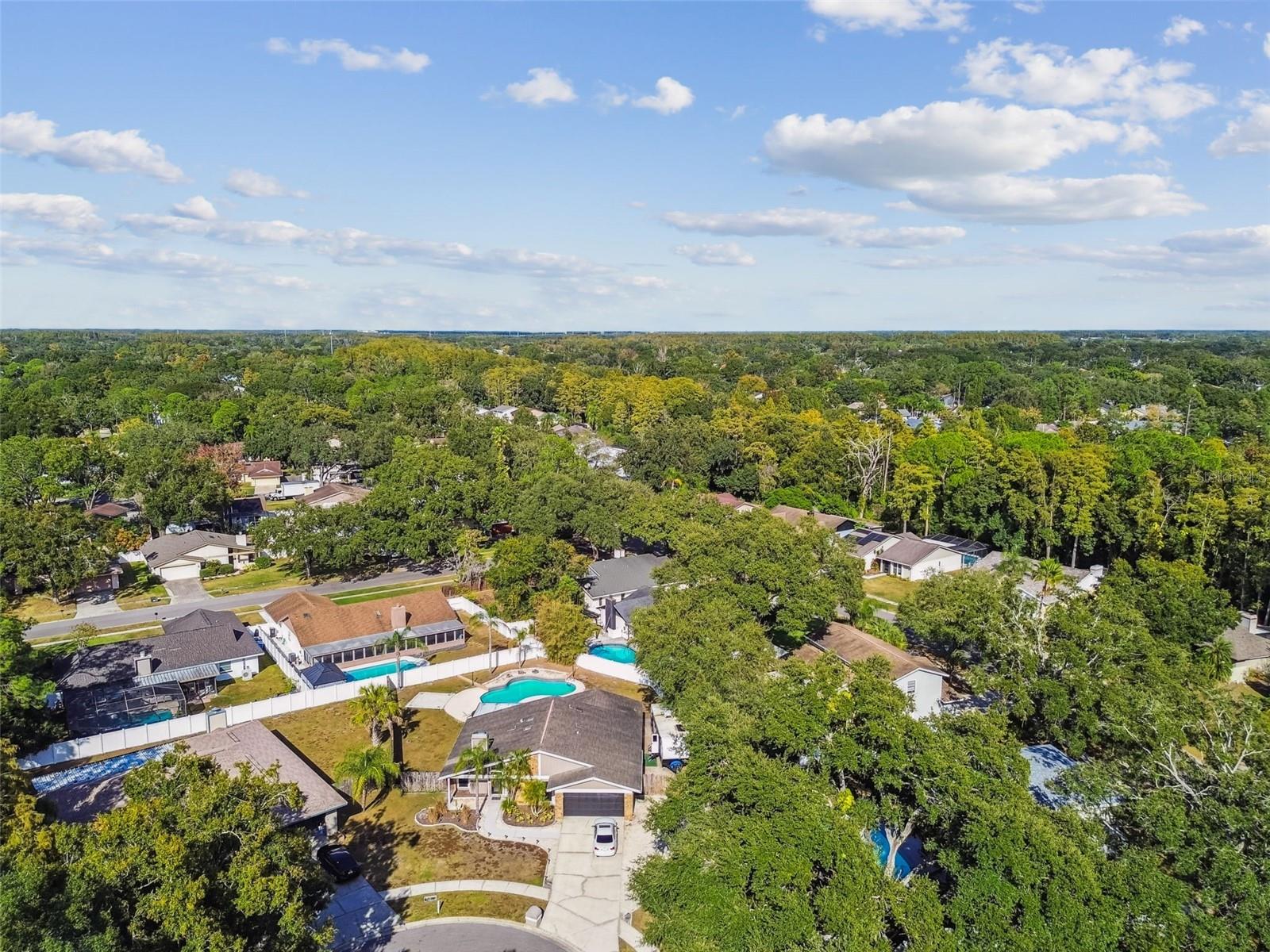 4603 GOLDBUD LN, TAMPA, FL, 33624