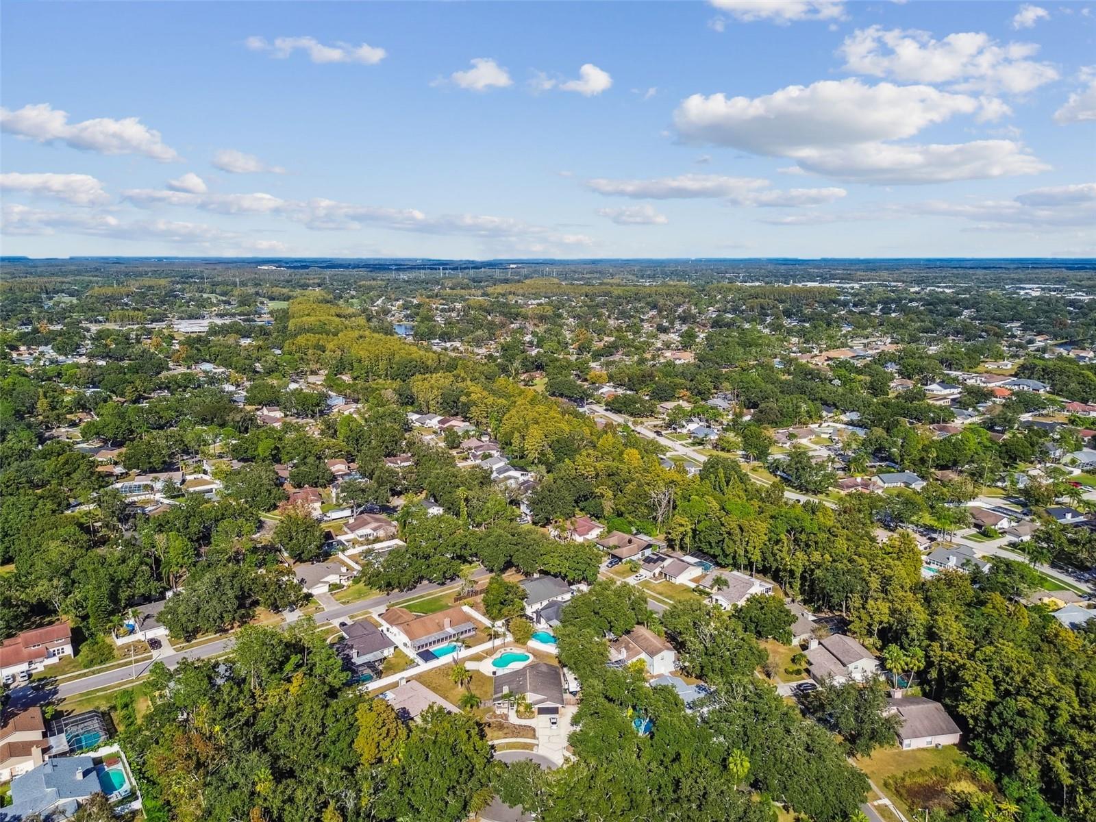 4603 GOLDBUD LN, TAMPA, FL, 33624