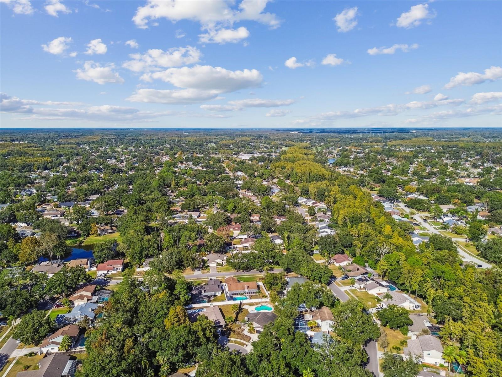 4603 GOLDBUD LN, TAMPA, FL, 33624