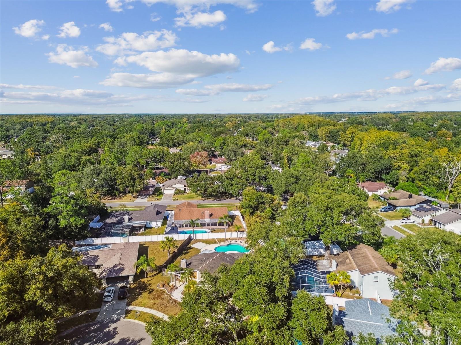 4603 GOLDBUD LN, TAMPA, FL, 33624