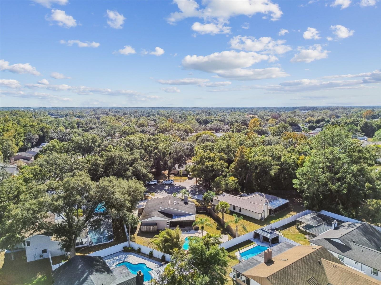 4603 GOLDBUD LN, TAMPA, FL, 33624