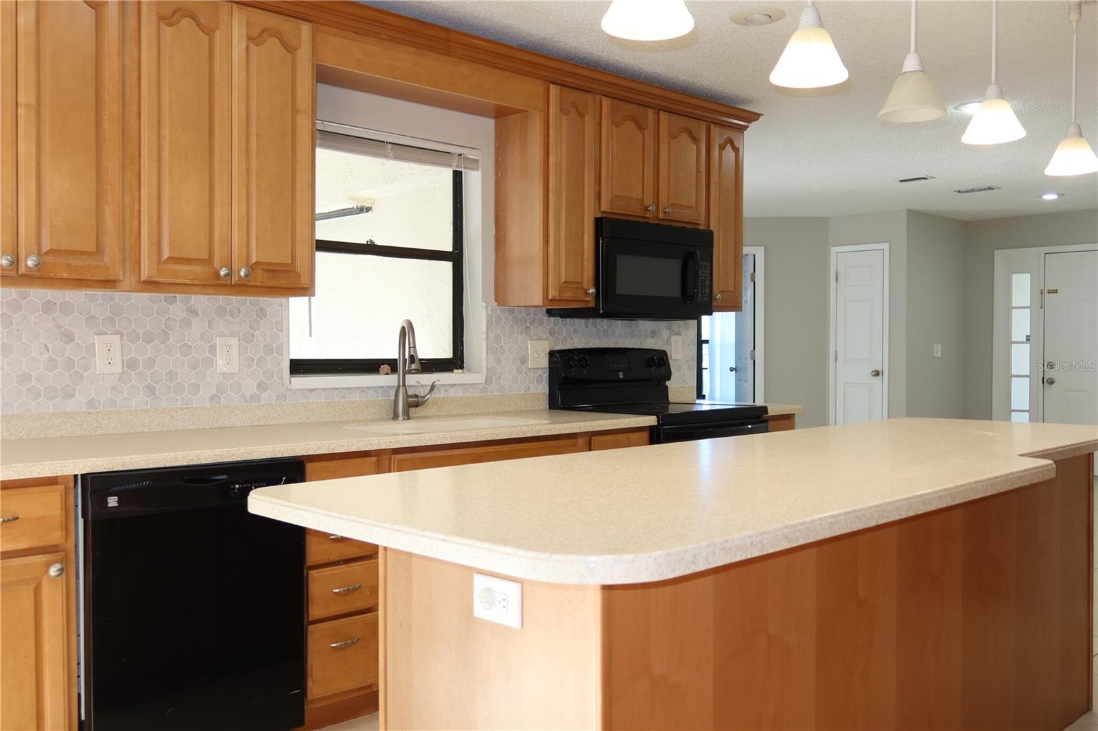 2414 SAN LUIS RD, HOLIDAY, FL, 34691