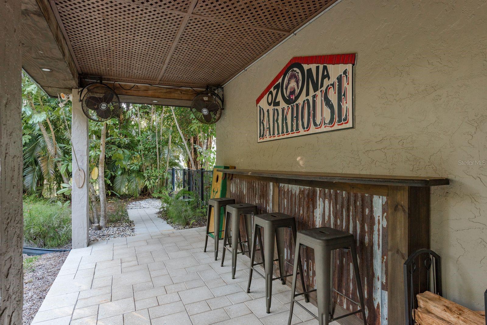 Backyard Stories were meant to be told here!