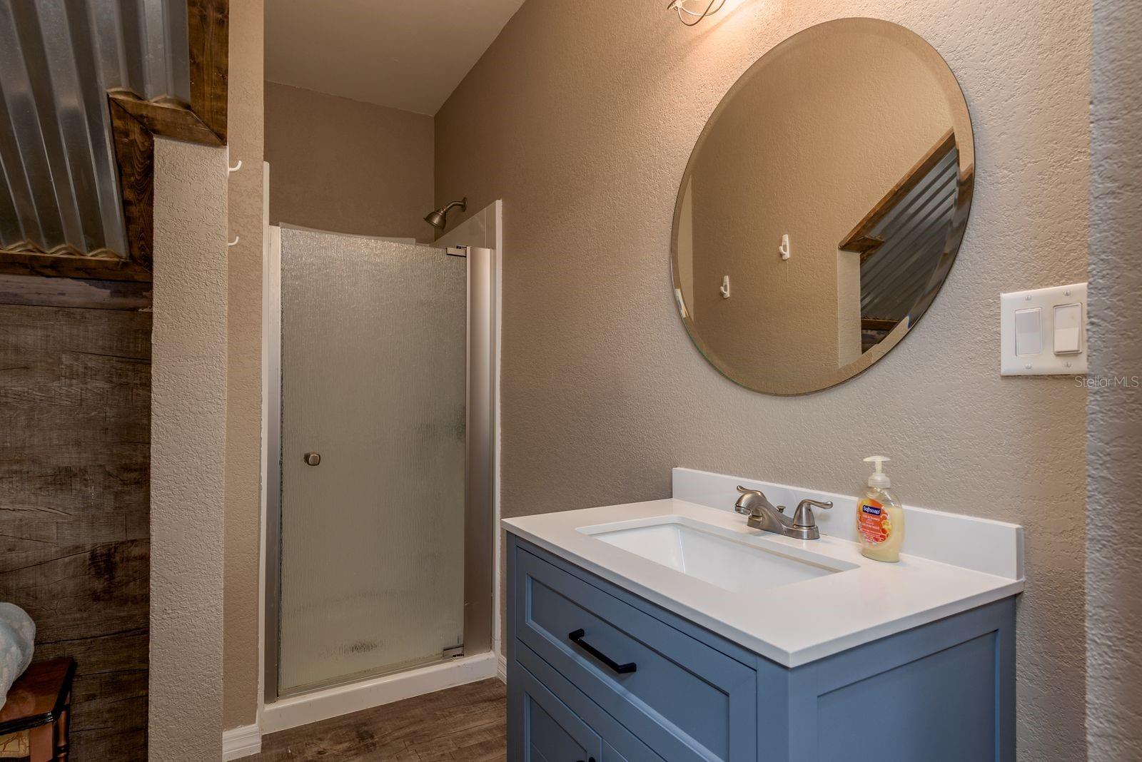 Lower Level Guest Bath 3