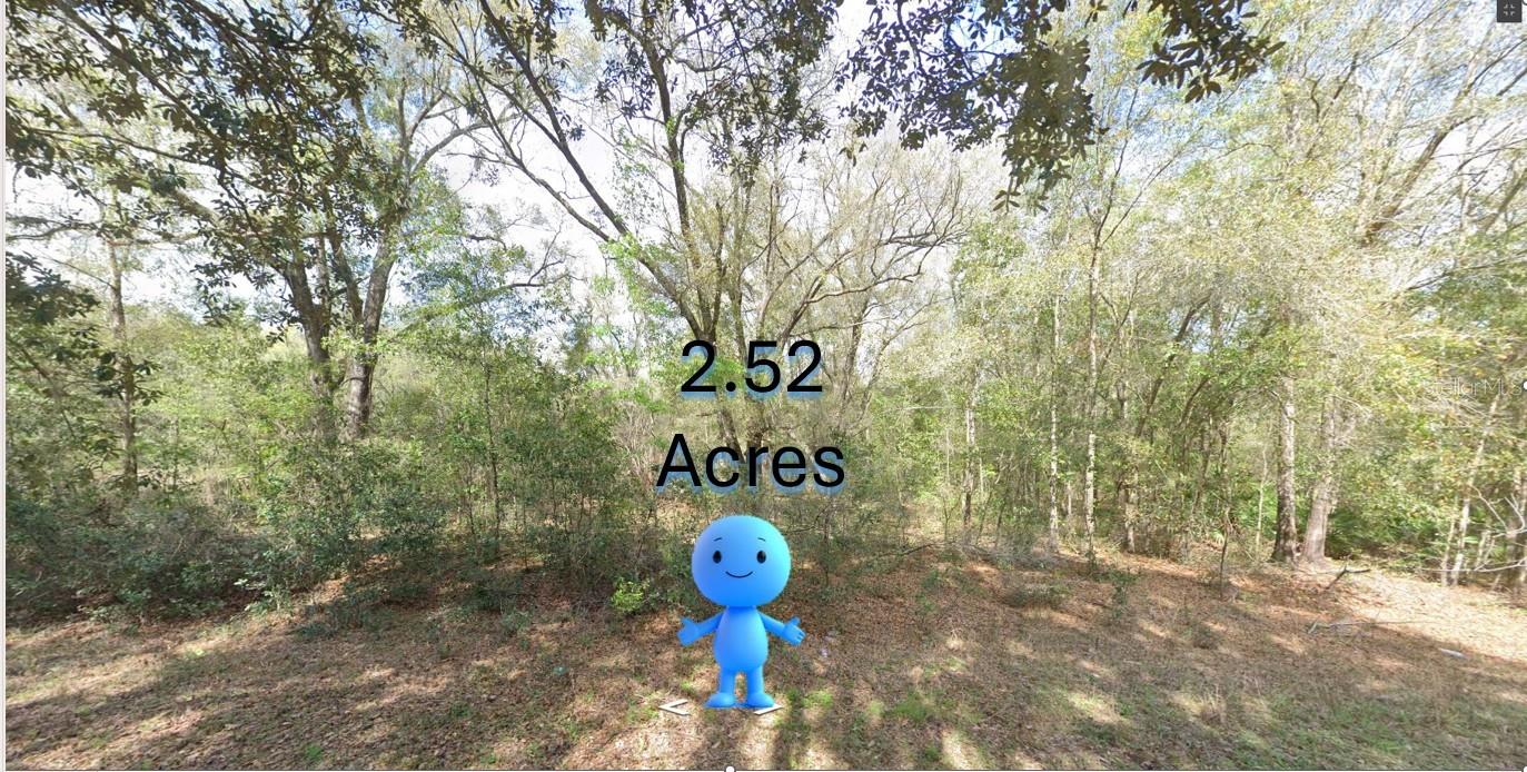 108TH ST ST SW, DUNNELLON, FL, 34432