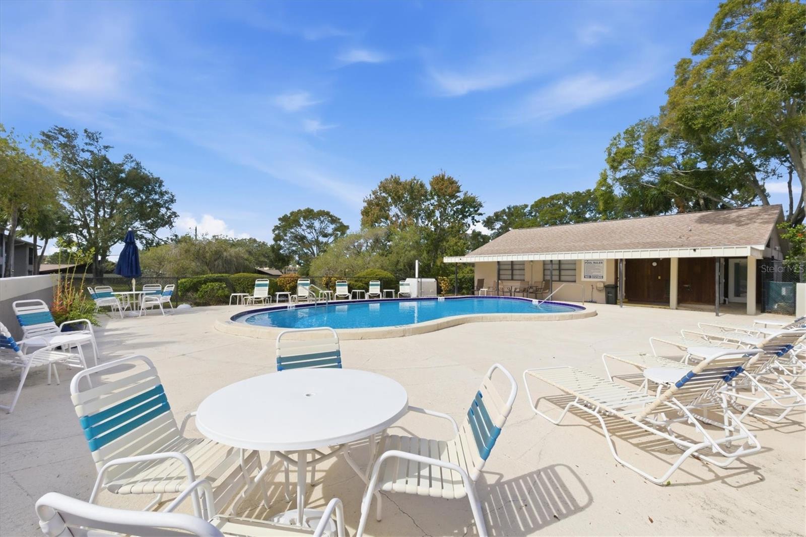 2178 ELM ST #1007, DUNEDIN, FL, 34698