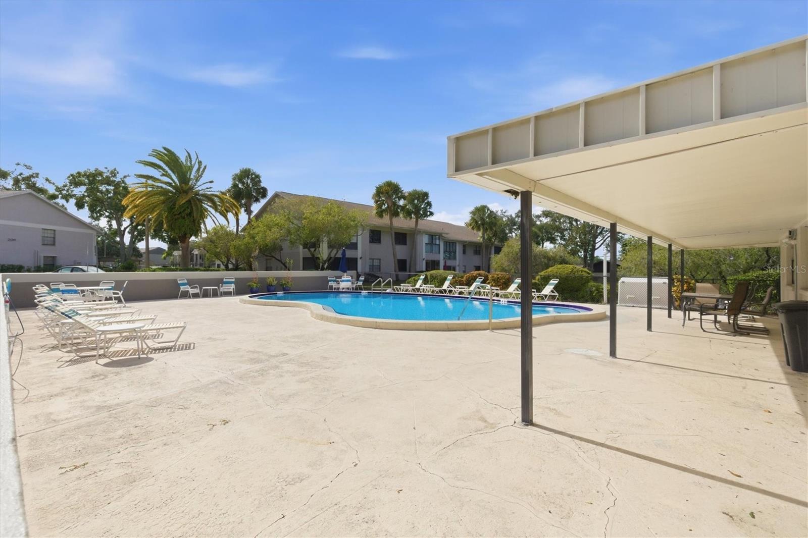 2178 ELM ST #1007, DUNEDIN, FL, 34698