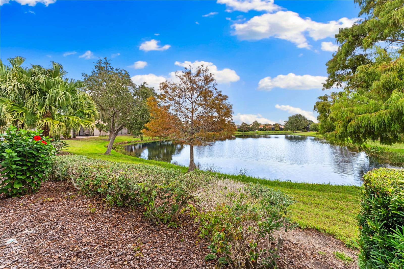 1308 THORNAPPLE DR, OSPREY, FL, 34229