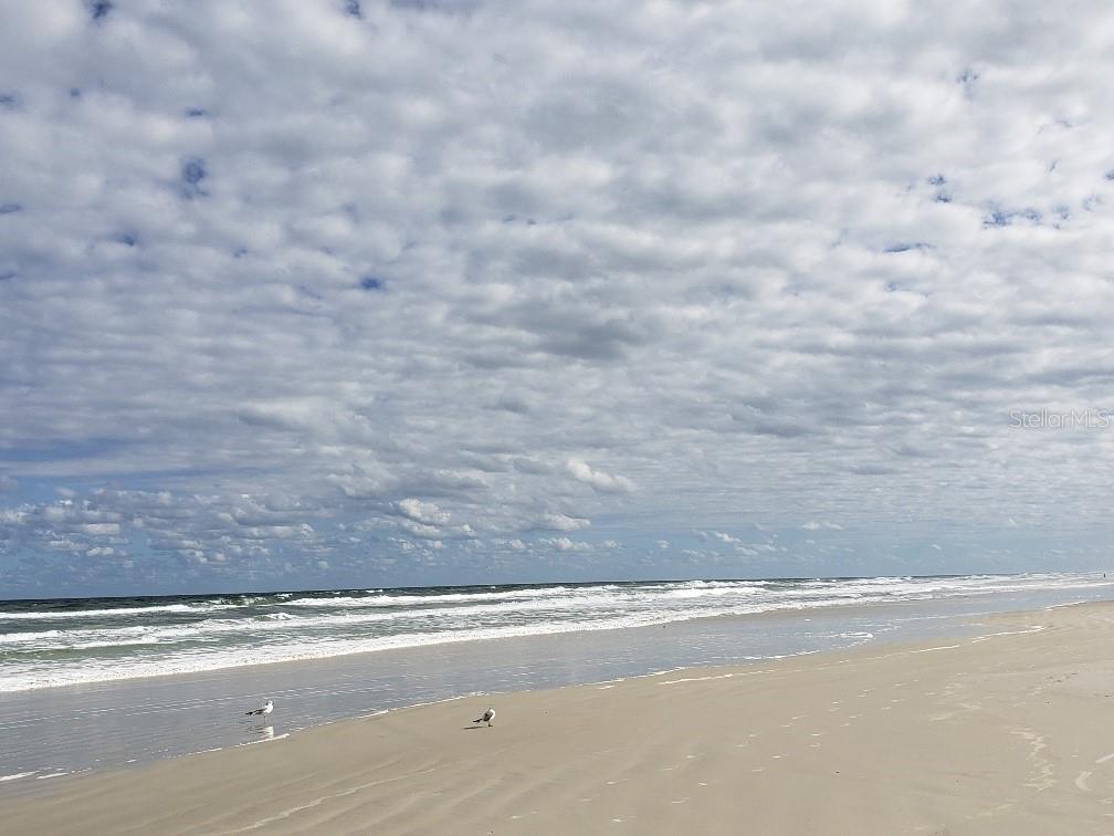 2815 BAY SIDE DR, NEW SMYRNA BEACH, FL, 32168