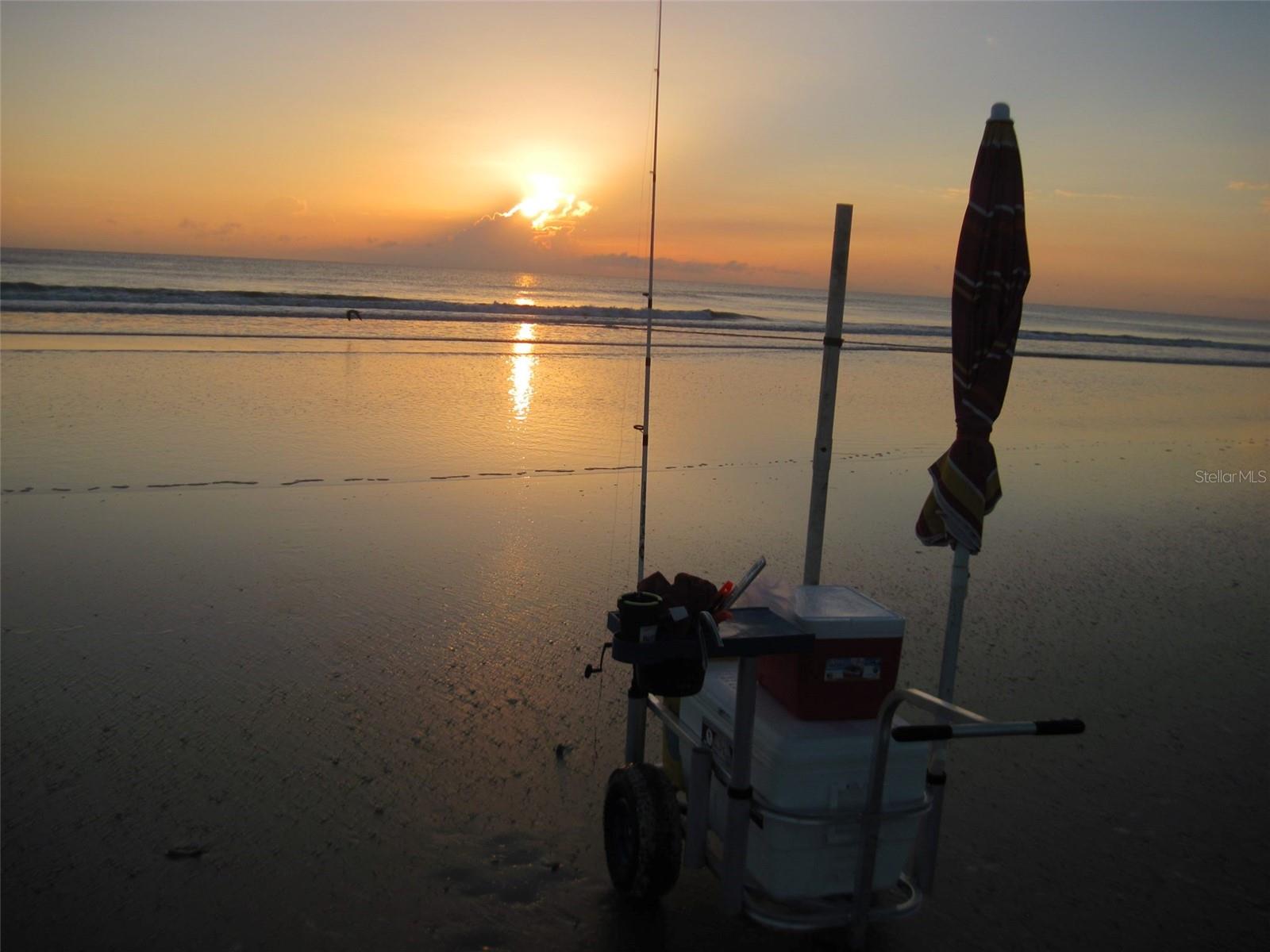 2815 BAY SIDE DR, NEW SMYRNA BEACH, FL, 32168