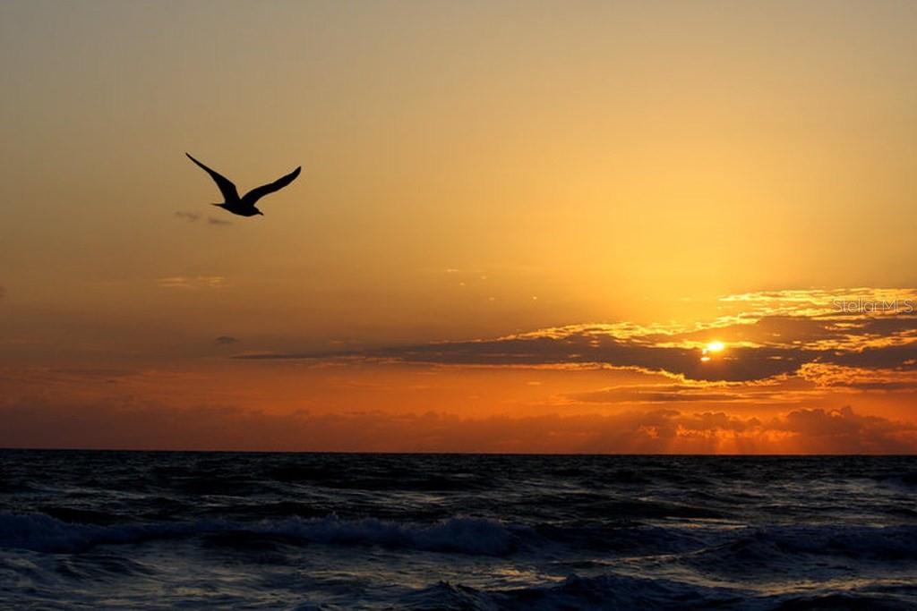 2815 BAY SIDE DR, NEW SMYRNA BEACH, FL, 32168