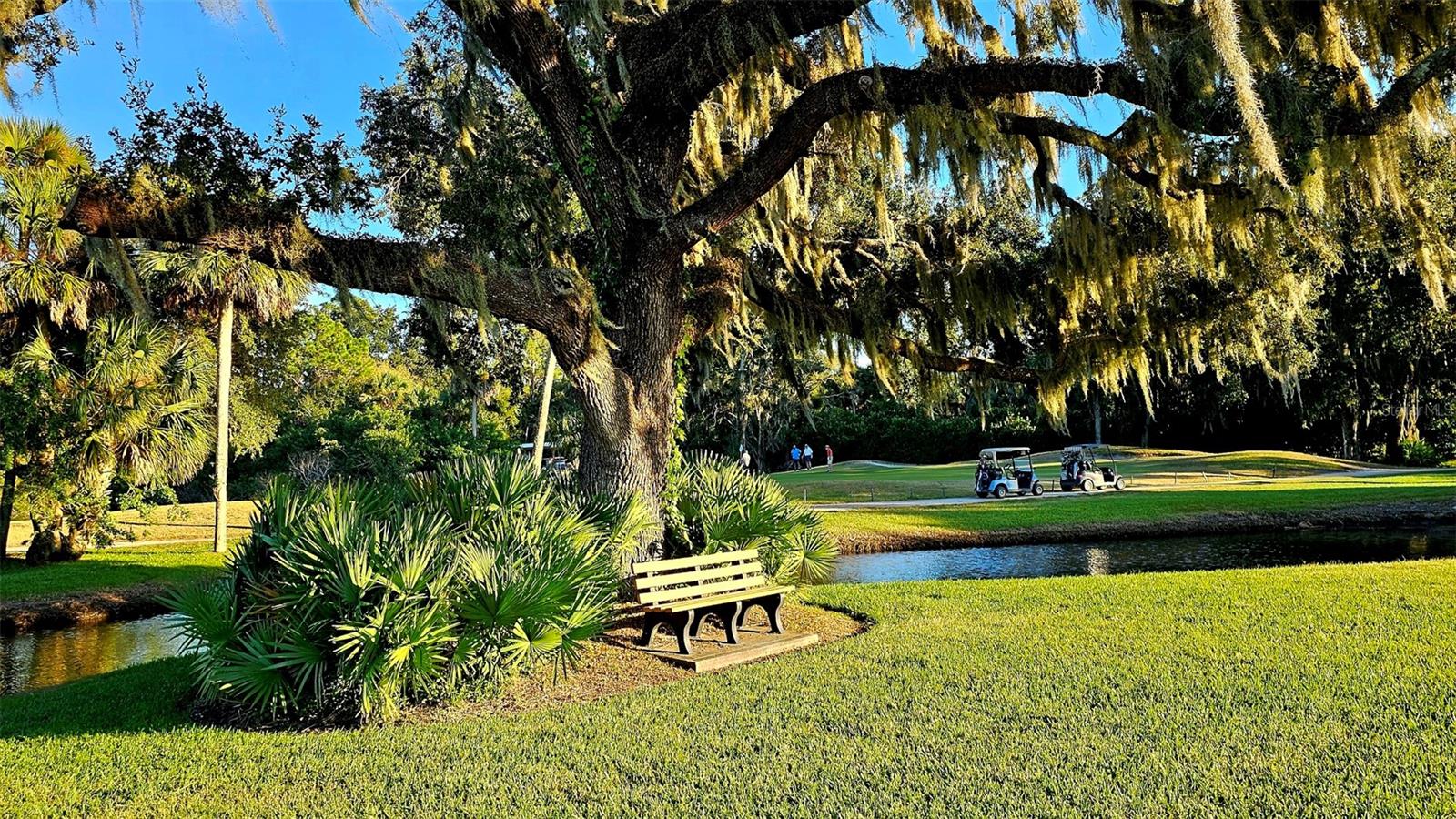 2815 BAY SIDE DR, NEW SMYRNA BEACH, FL, 32168