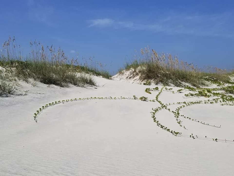 2815 BAY SIDE DR, NEW SMYRNA BEACH, FL, 32168