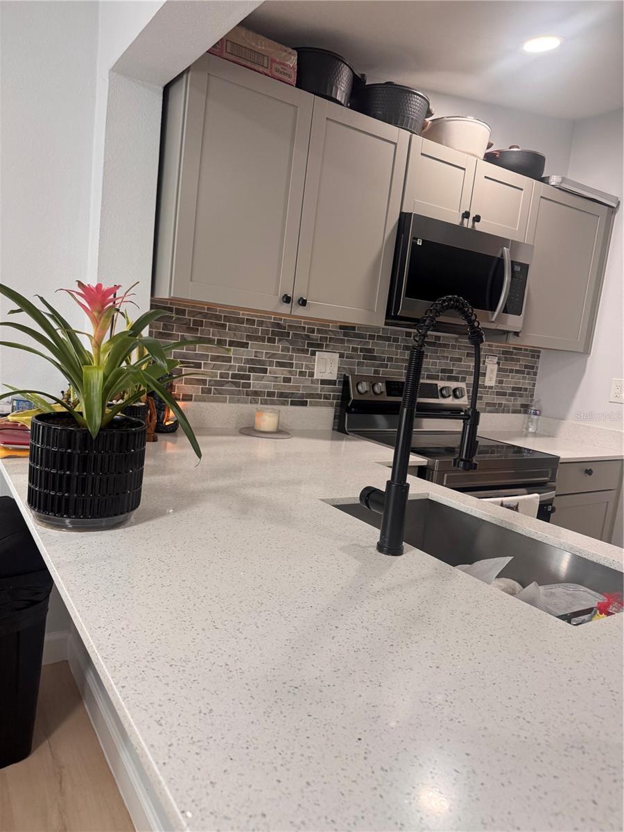 125 RIDGEWOOD DR, ARCADIA, FL, 34266