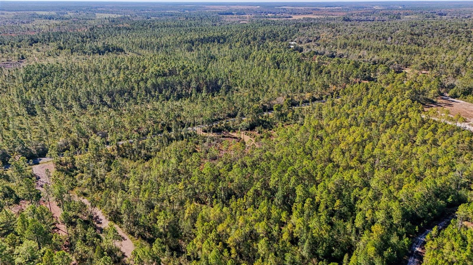 NE 212TH ST, FORT MC COY, FL, 32134