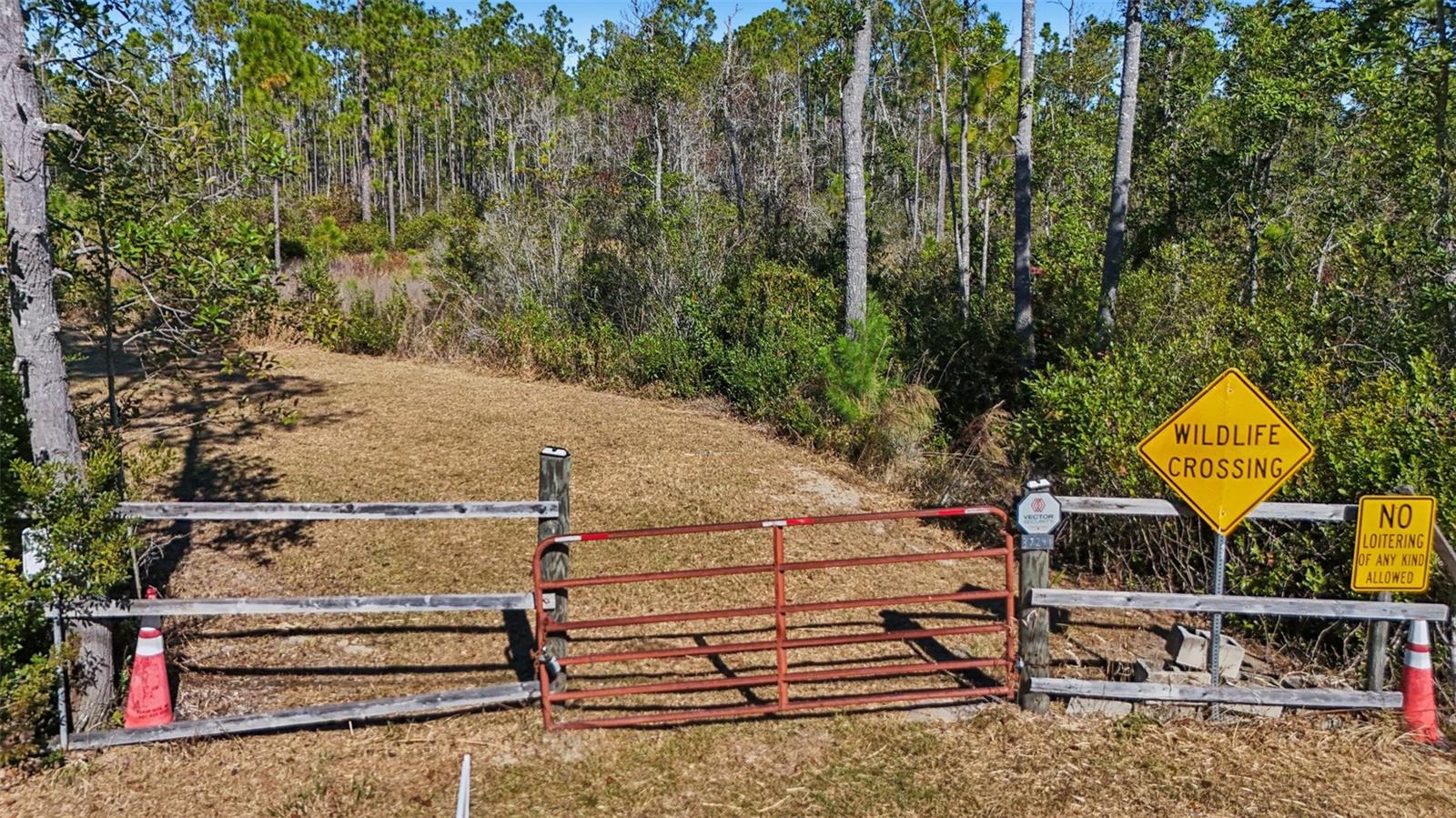 NE 212TH ST, FORT MC COY, FL, 32134