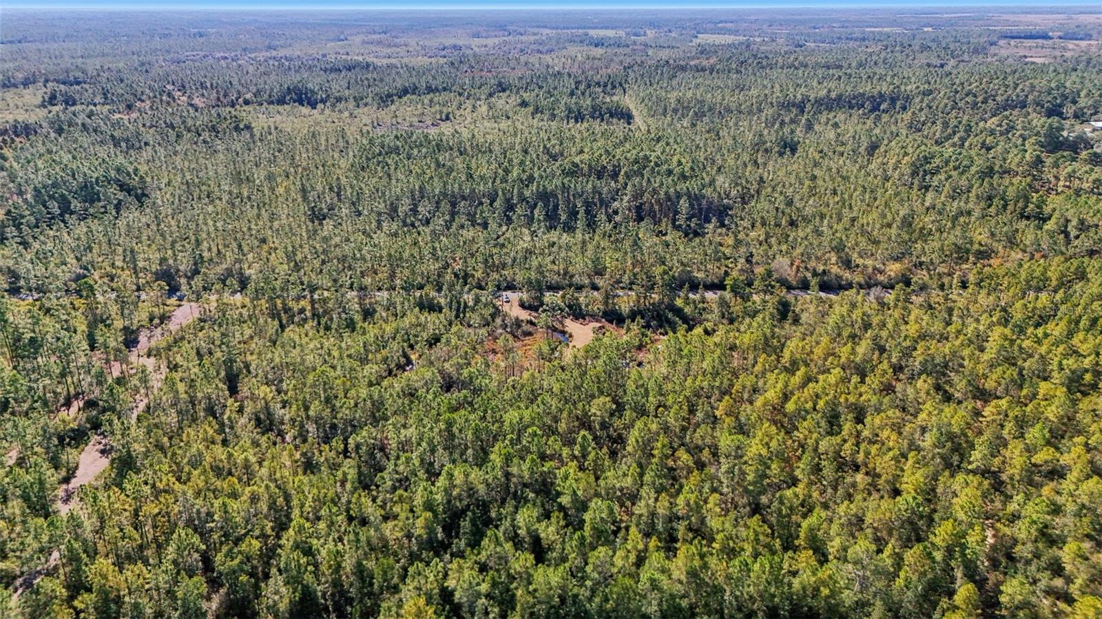 NE 212TH ST, FORT MC COY, FL, 32134