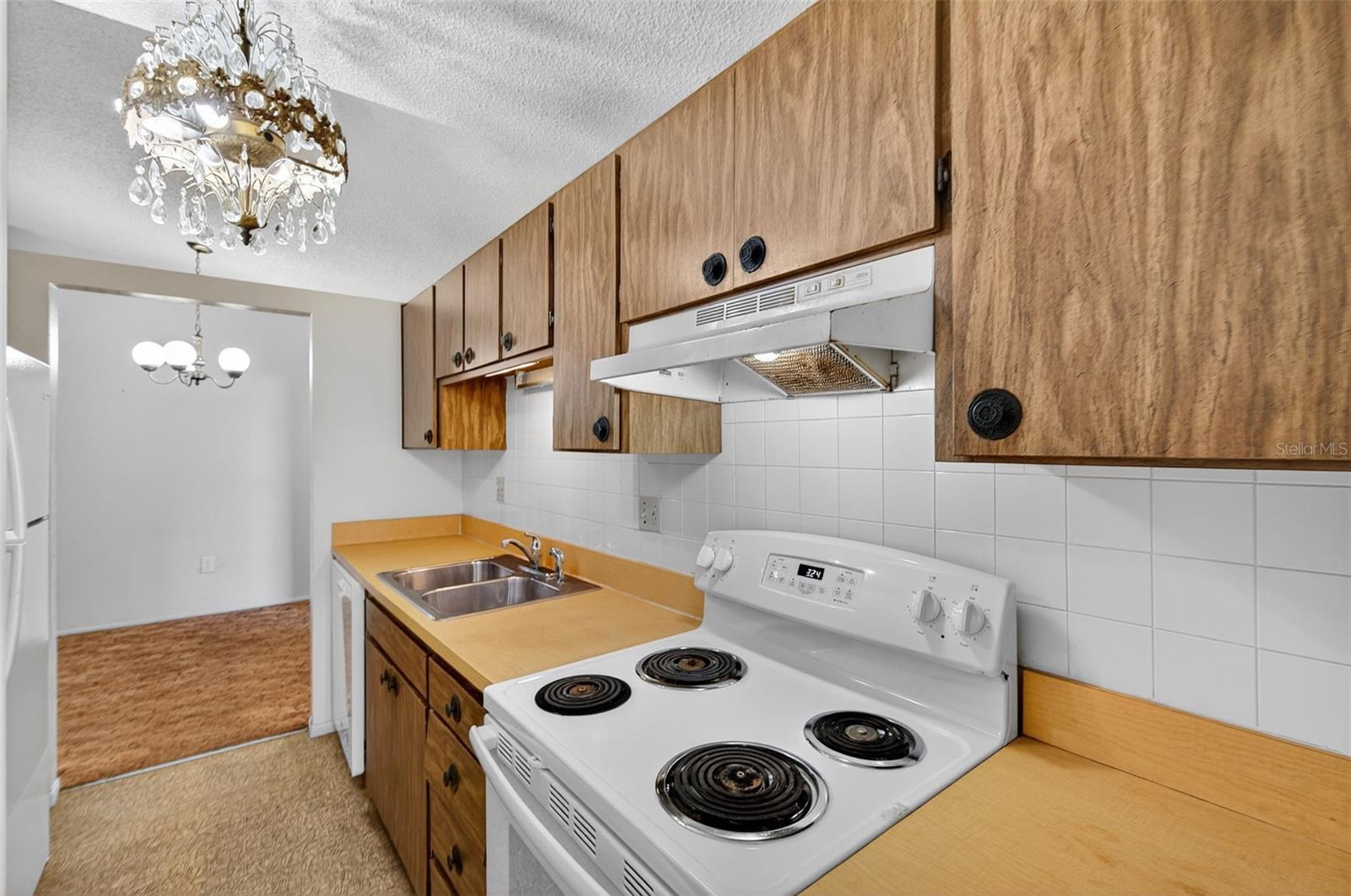 3123 LODI DR, NEW PORT RICHEY, FL, 34655