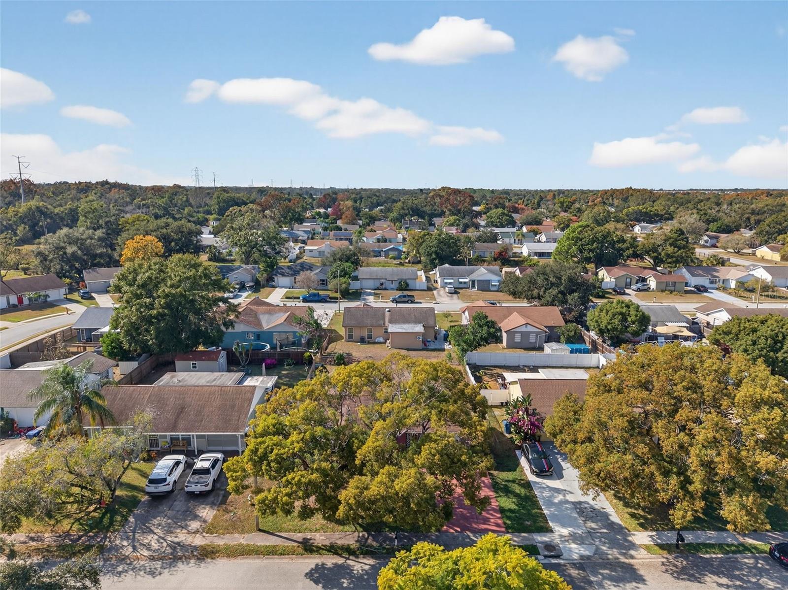 3123 LODI DR, NEW PORT RICHEY, FL, 34655