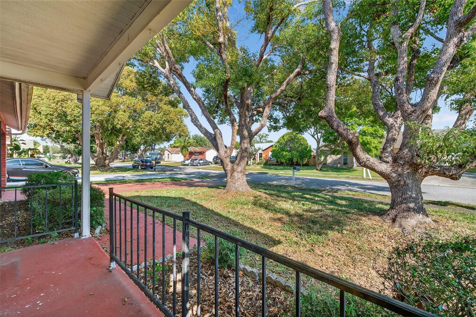 3123 LODI DR, NEW PORT RICHEY, FL, 34655