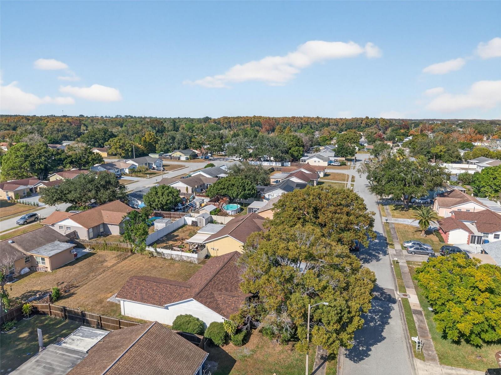 3123 LODI DR, NEW PORT RICHEY, FL, 34655