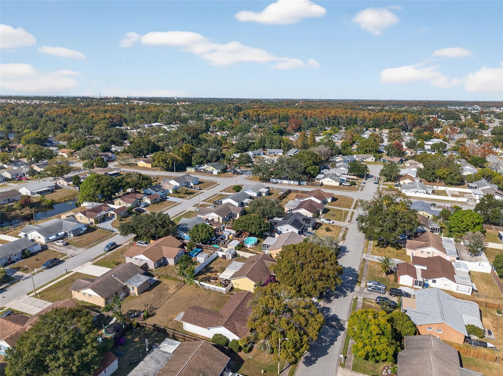 3123 LODI DR, NEW PORT RICHEY, FL, 34655