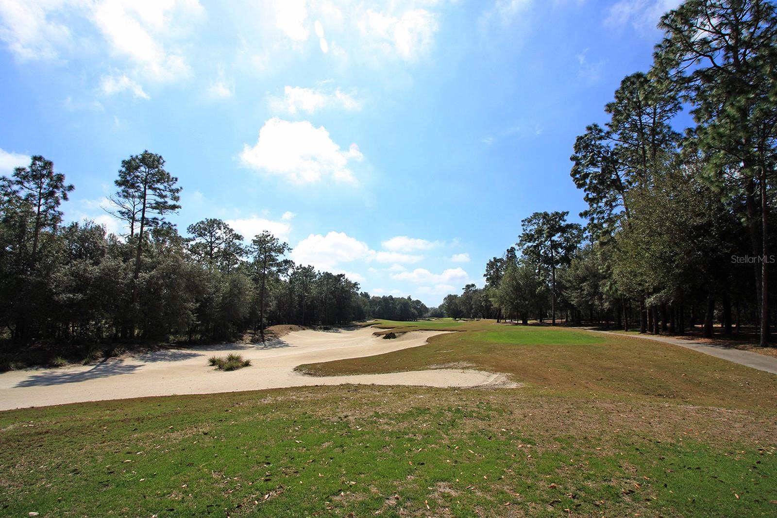 513 HERON POINT WAY, DELAND, FL, 32724