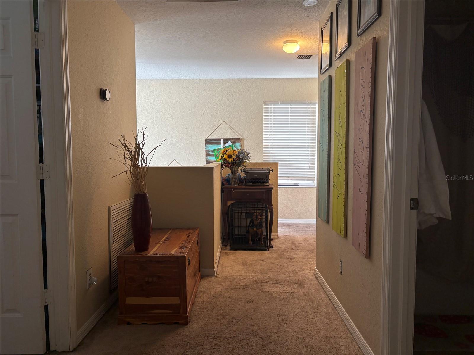 11831 WHISPER CREEK DR, RIVERVIEW, FL, 33569