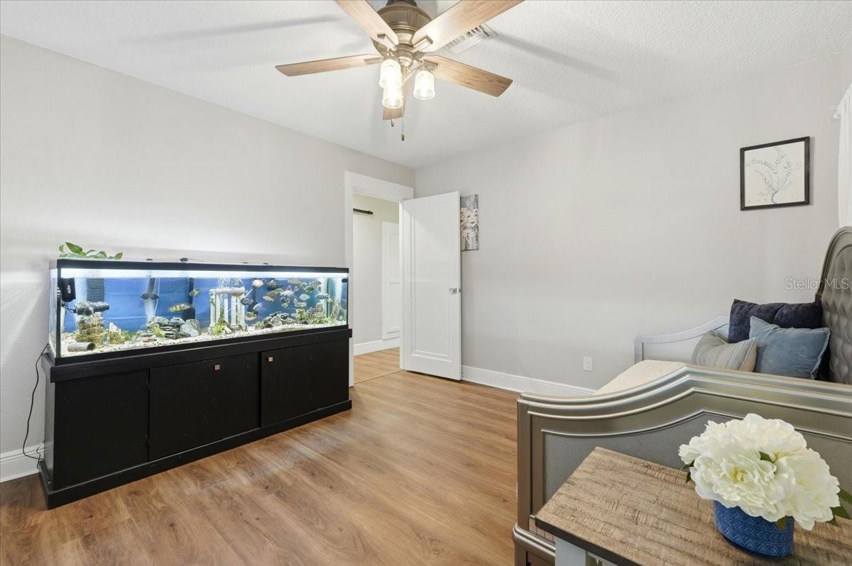 12434 LAKESHORE DR, CLERMONT, FL, 34711