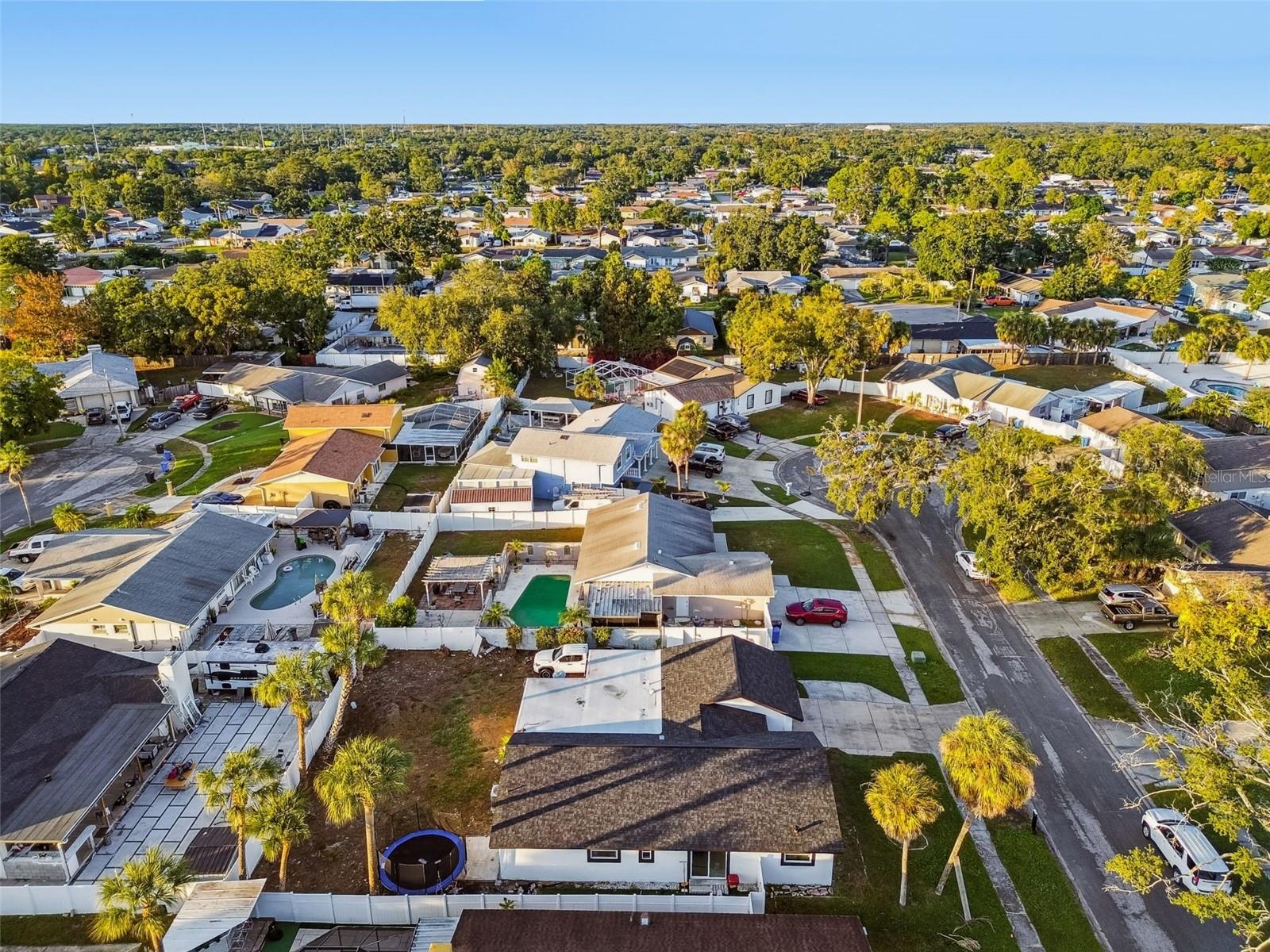 7204 BRANCHWOOD CT, TAMPA, FL, 33615