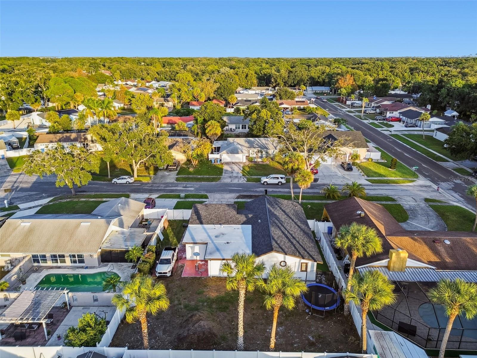 7204 BRANCHWOOD CT, TAMPA, FL, 33615