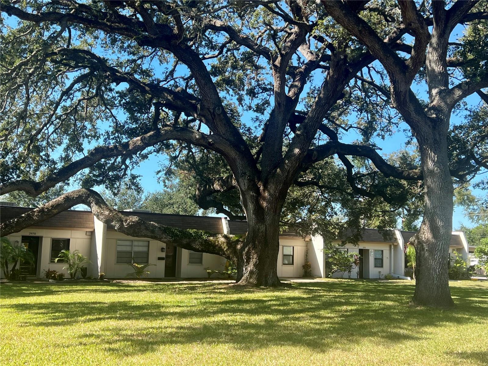 1612 FLINT DR E #85-A, CLEARWATER, FL, 33759