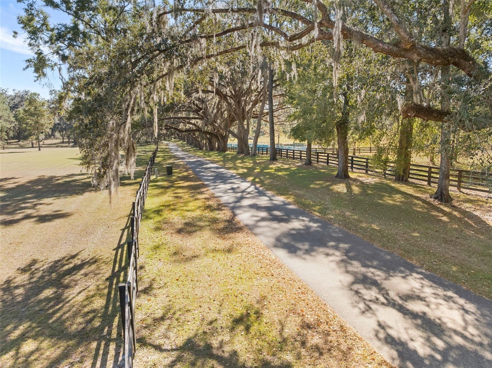 21781 NW COUNTY ROAD 2054, ALACHUA, FL, 32615