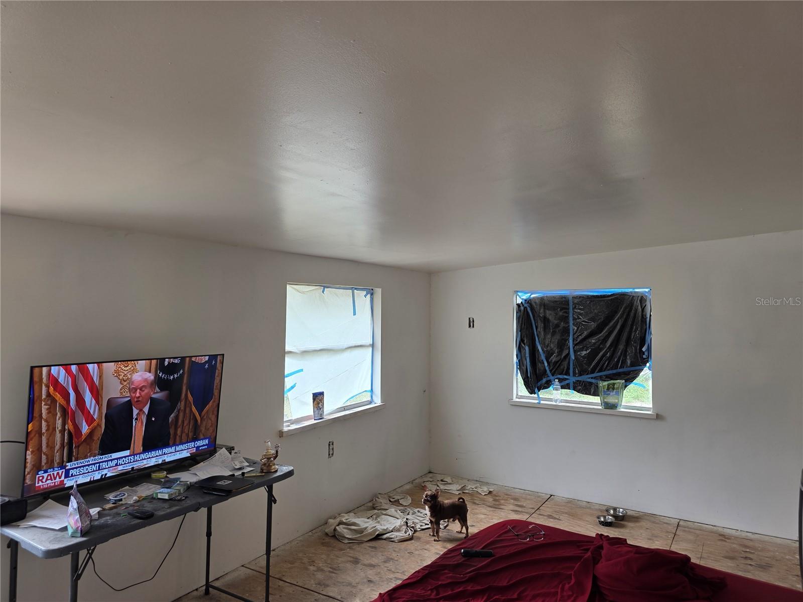 17360 NE 37TH LN, SILVER SPRINGS, FL, 34488