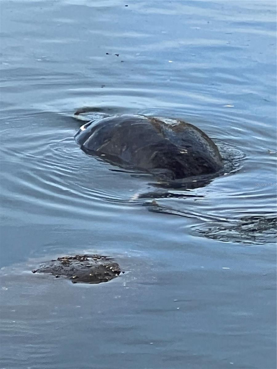 418 CERROMAR CT #261, VENICE, FL, 34293