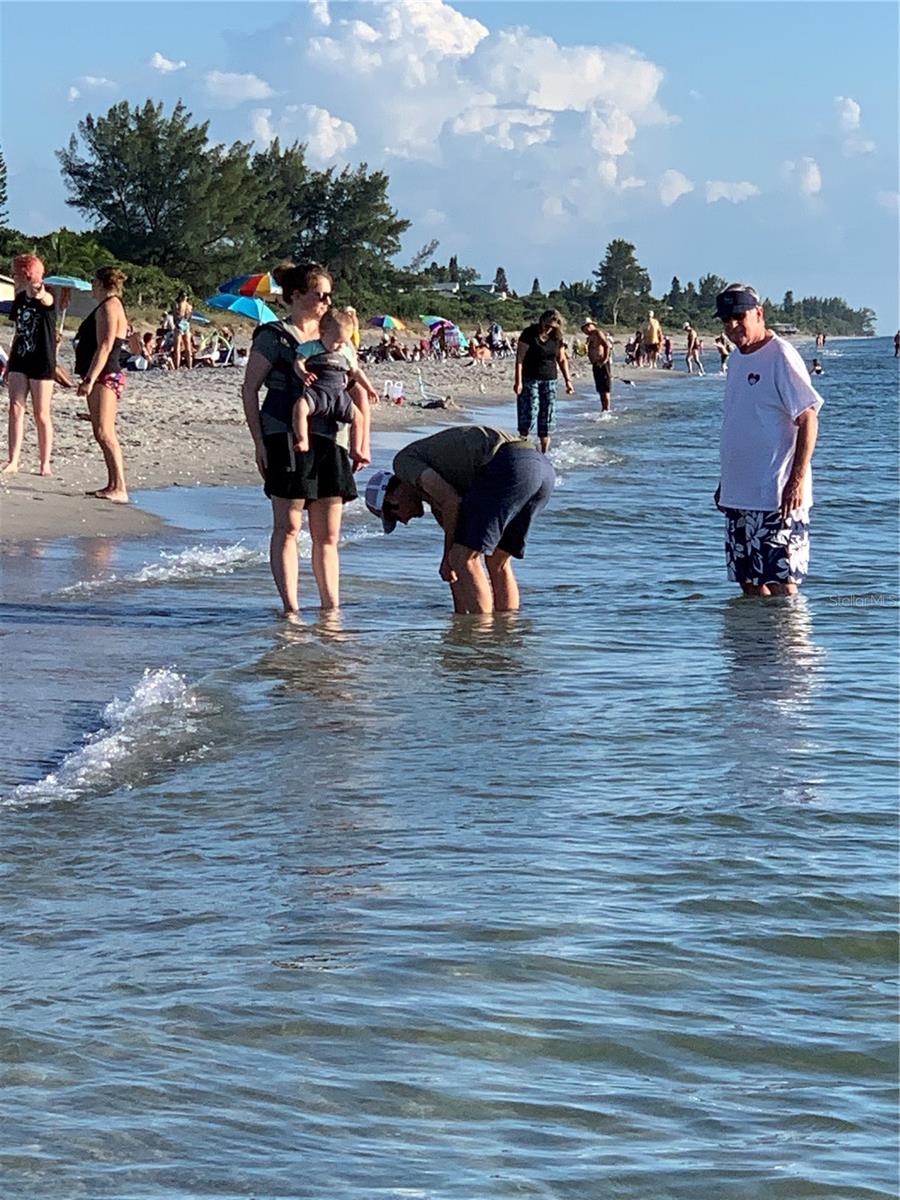 418 CERROMAR CT #261, VENICE, FL, 34293