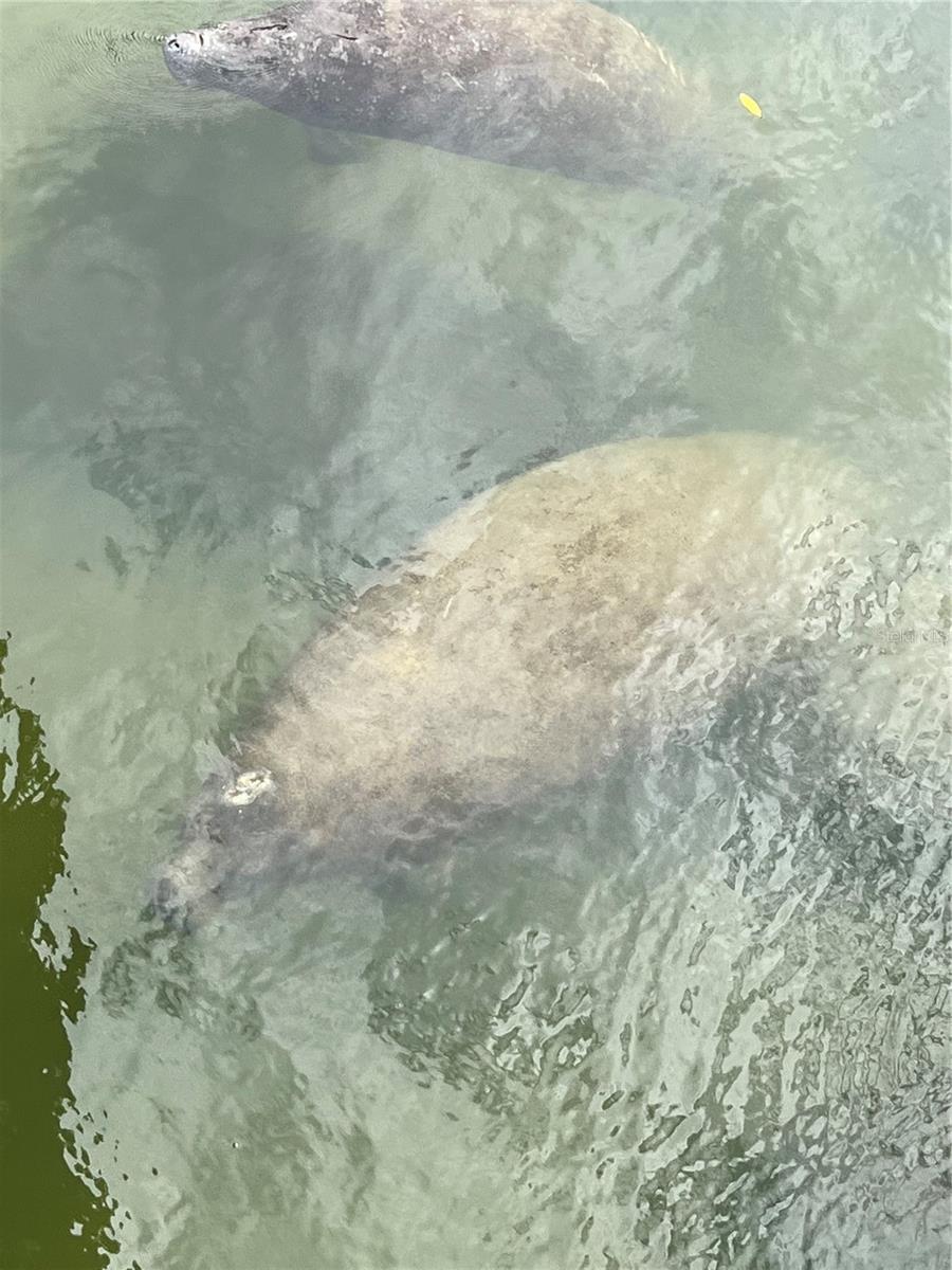 418 CERROMAR CT #261, VENICE, FL, 34293