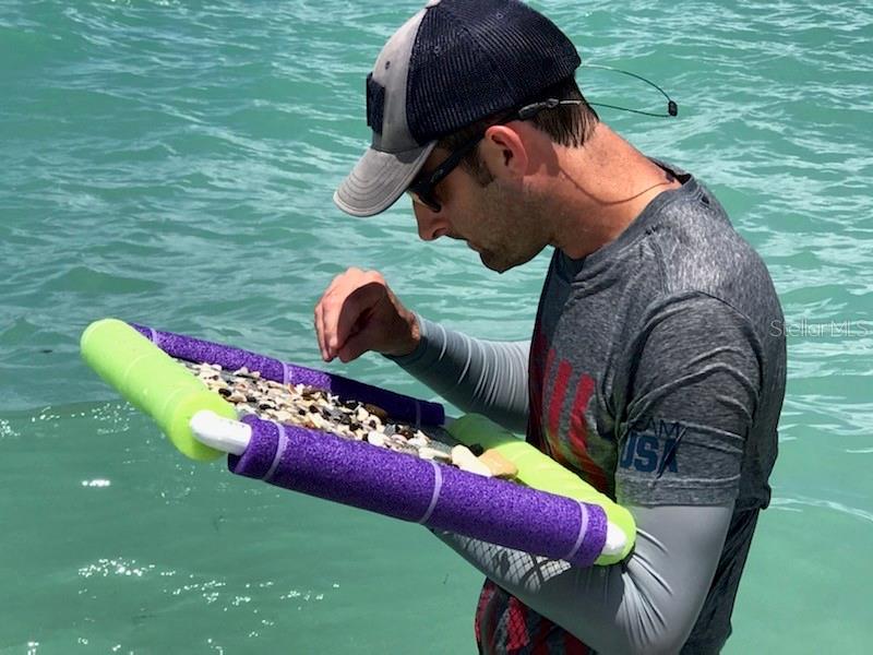 418 CERROMAR CT #261, VENICE, FL, 34293