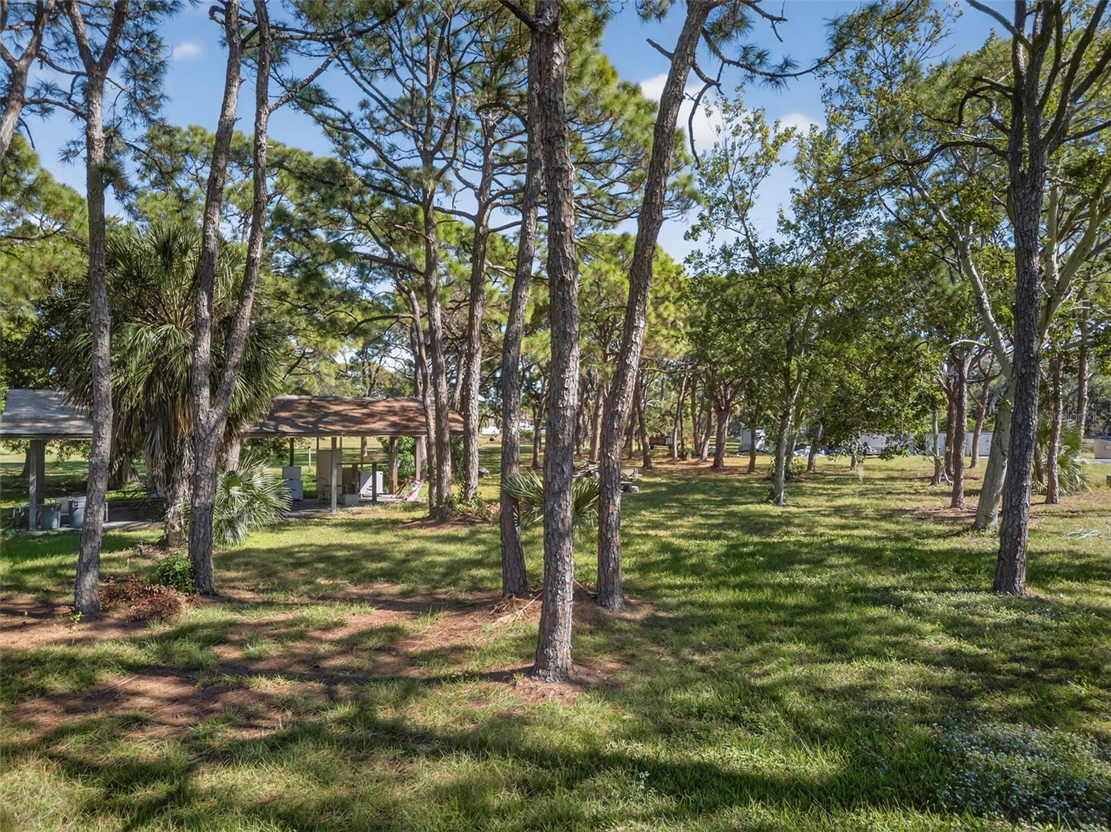 2001 62ND AVE S, ST PETERSBURG, FL, 33712