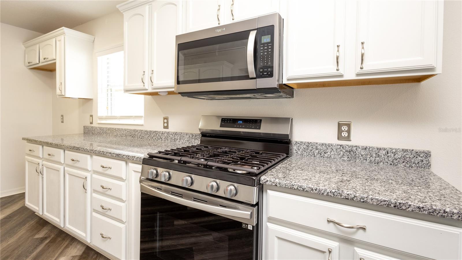 4245 ARLINGTON RIDGE BLVD, LEESBURG, FL, 34748