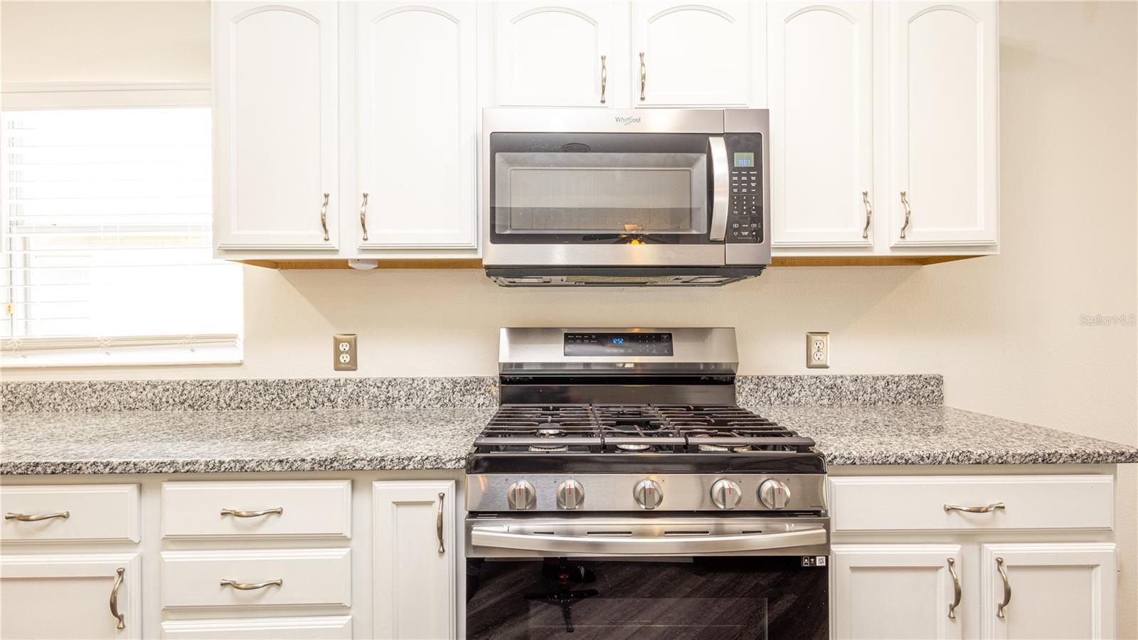 4245 ARLINGTON RIDGE BLVD, LEESBURG, FL, 34748