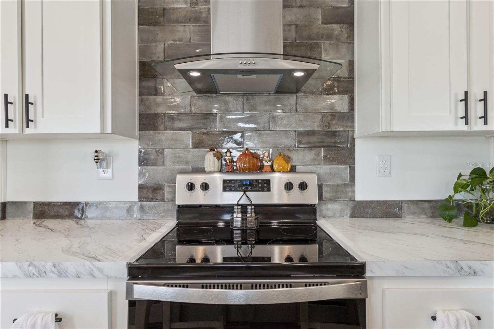 1193 NW 12TH LN, LAKE PANASOFFKEE, FL, 33538