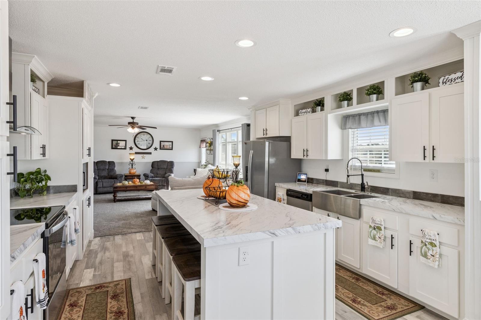 1193 NW 12TH LN, LAKE PANASOFFKEE, FL, 33538