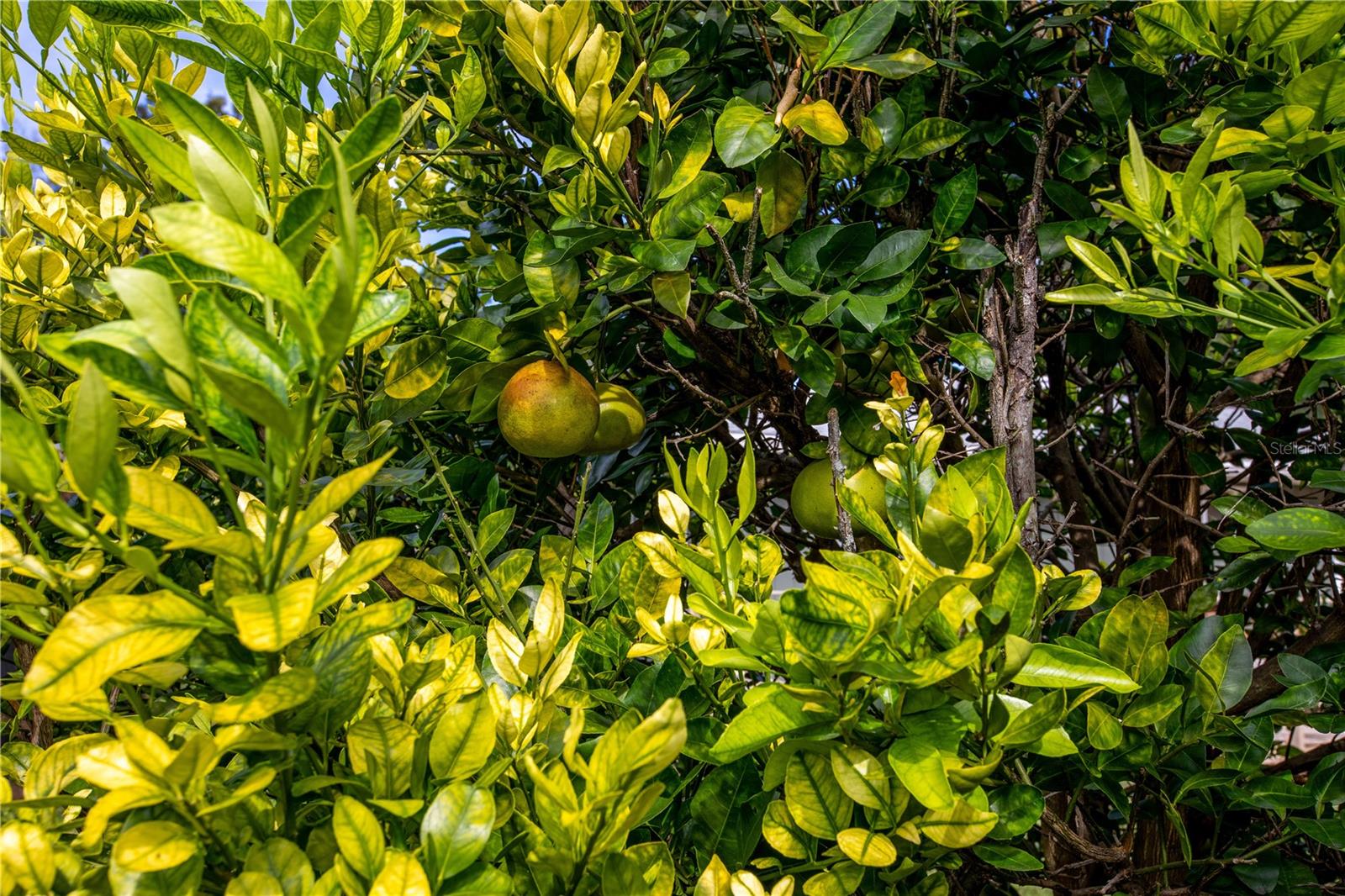 4939 SW 57TH DR, GAINESVILLE, FL, 32608