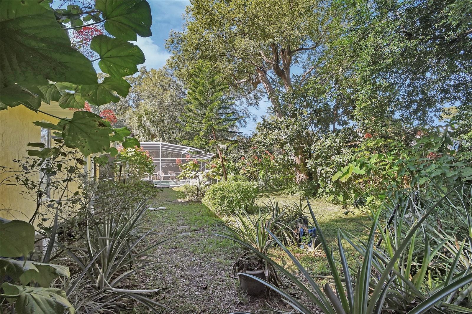 1559 W EUCLID AVE, DELAND, FL, 32720