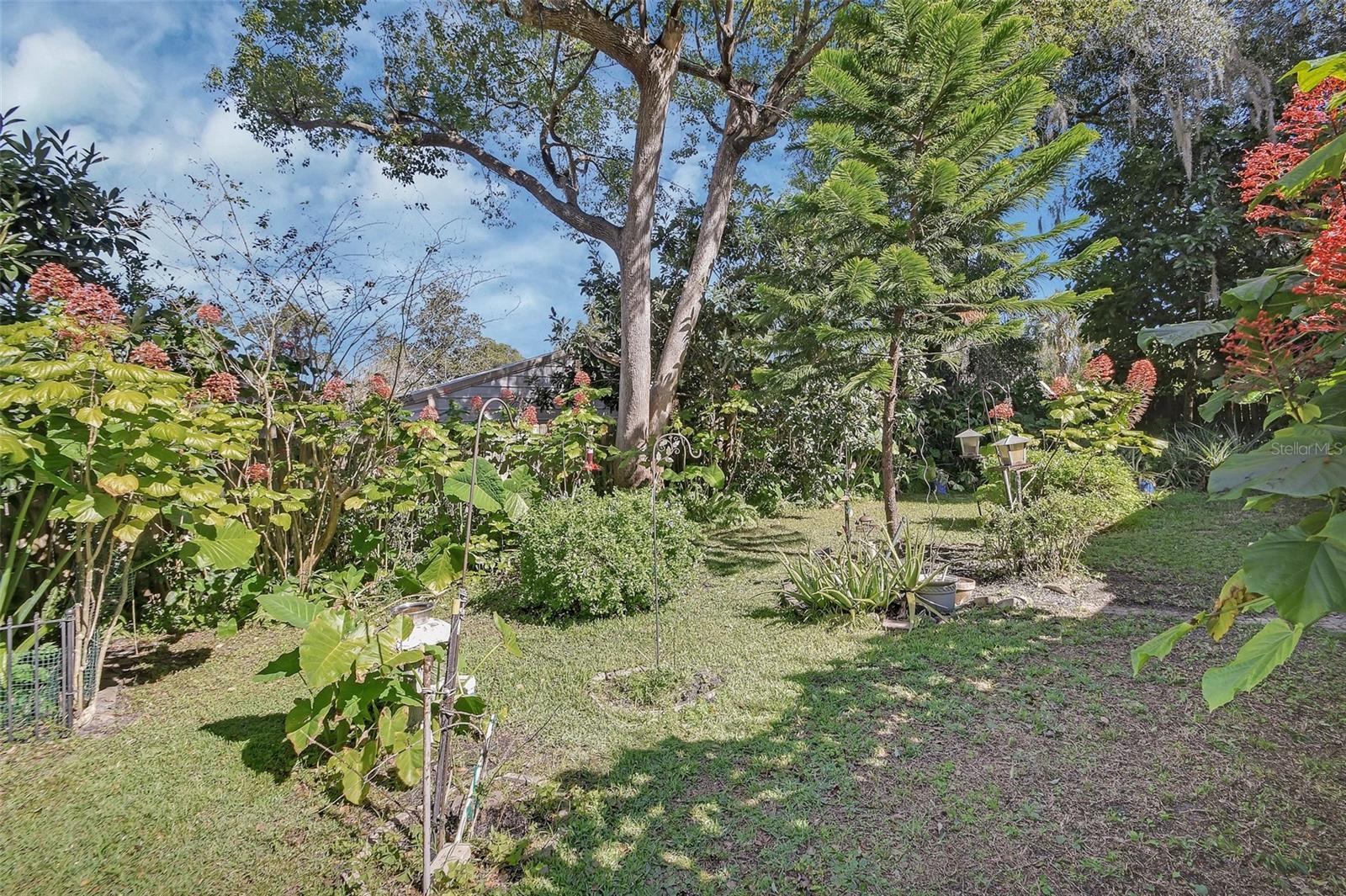 1559 W EUCLID AVE, DELAND, FL, 32720