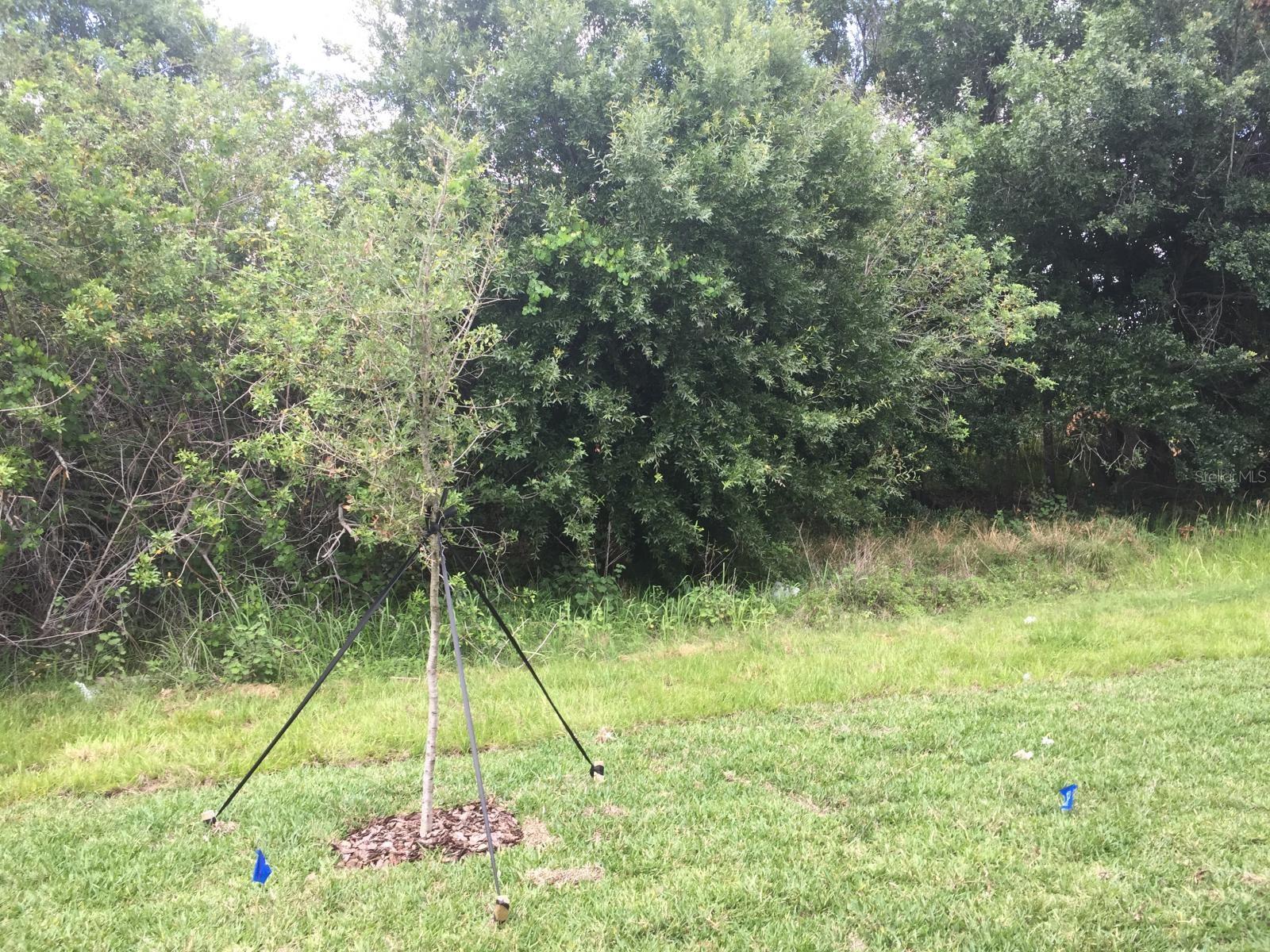 9618 PEMBROOKE PINES DR, SUN CITY CENTER, FL, 33573